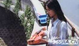 王朔爆料徐静蕾视频,一场娱乐圈的悬疑大剧